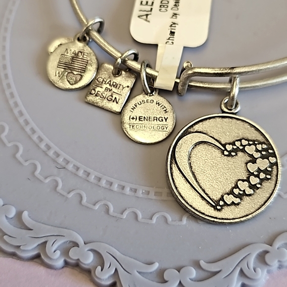 Alex and Ani Charity by Design Whole Heart EBW bracelet - Picture 2 of 5